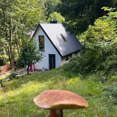 Holiday home W Lesie