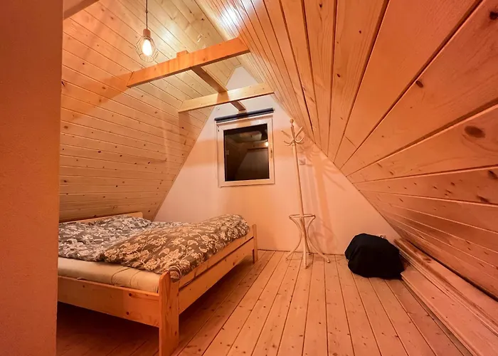 W Lesie * מידז'יברודז'י ז'יוויקי