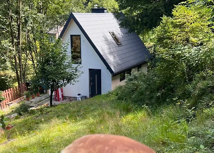 Сasa de vacaciones W Lesie