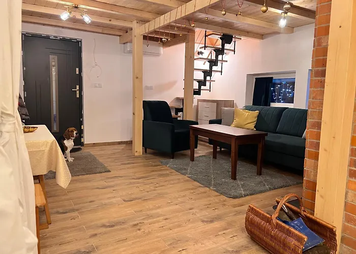 W Lesie מידז'יברודז'י ז'יוויקי