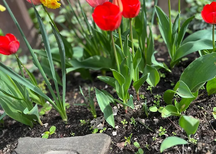 W Lesie Holiday home