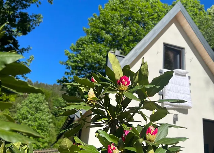 Сasa de vacaciones W Lesie